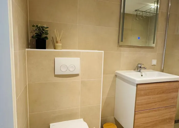 公寓 Willem's Beachhouse 诺德韦克